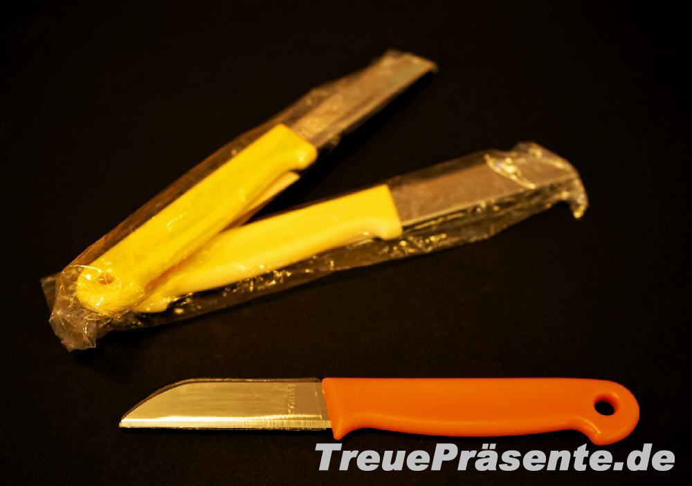 TreuePr&auml;sent K&uuml;chenmesser