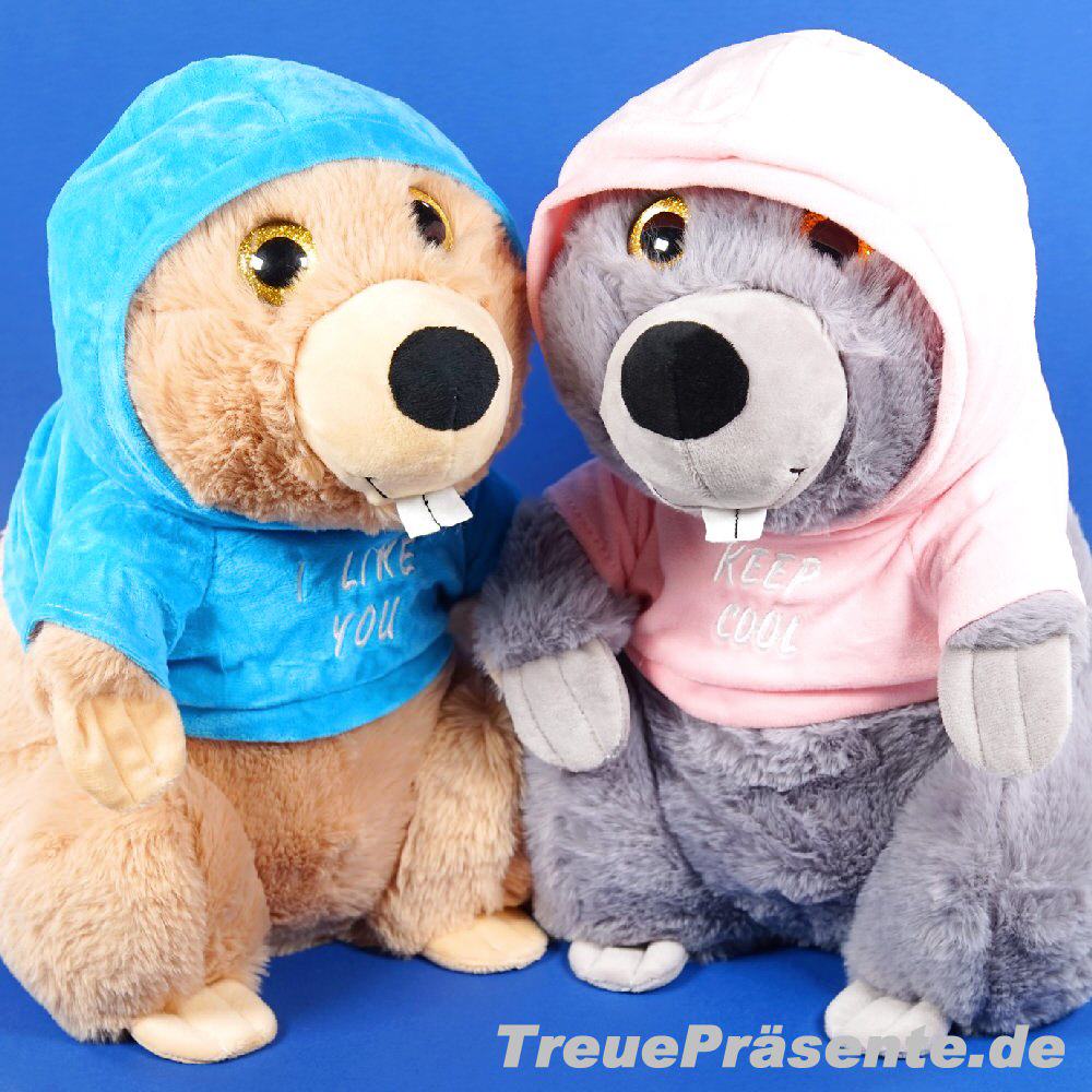 Pl&uuml;sch-Biber Paar mit Kaputze