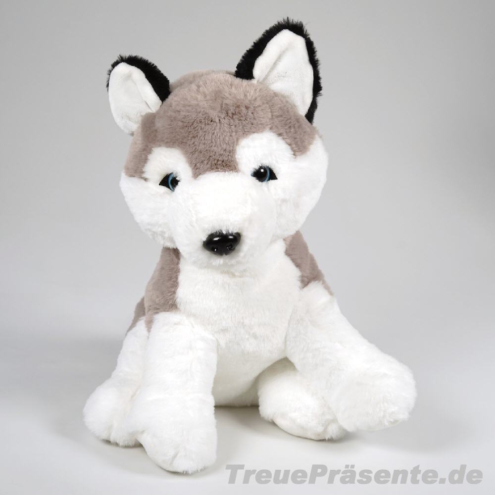 Pl&uuml;sch-Husky