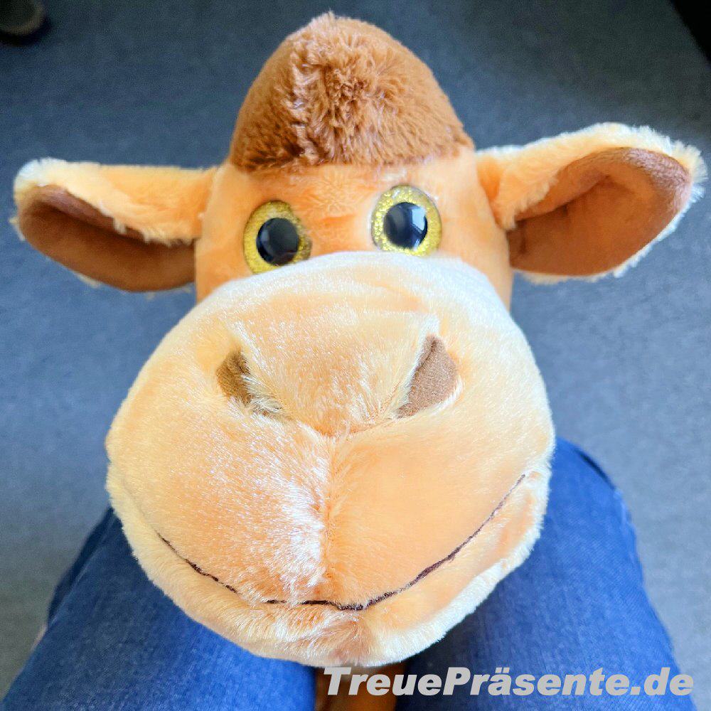 Pl&uuml;sch-Kamel 45 cm