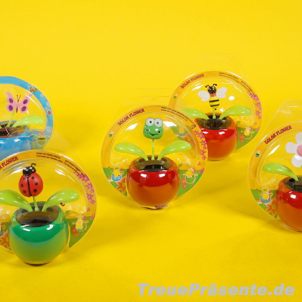 Solar-Wackel-Blument&ouml;pfe