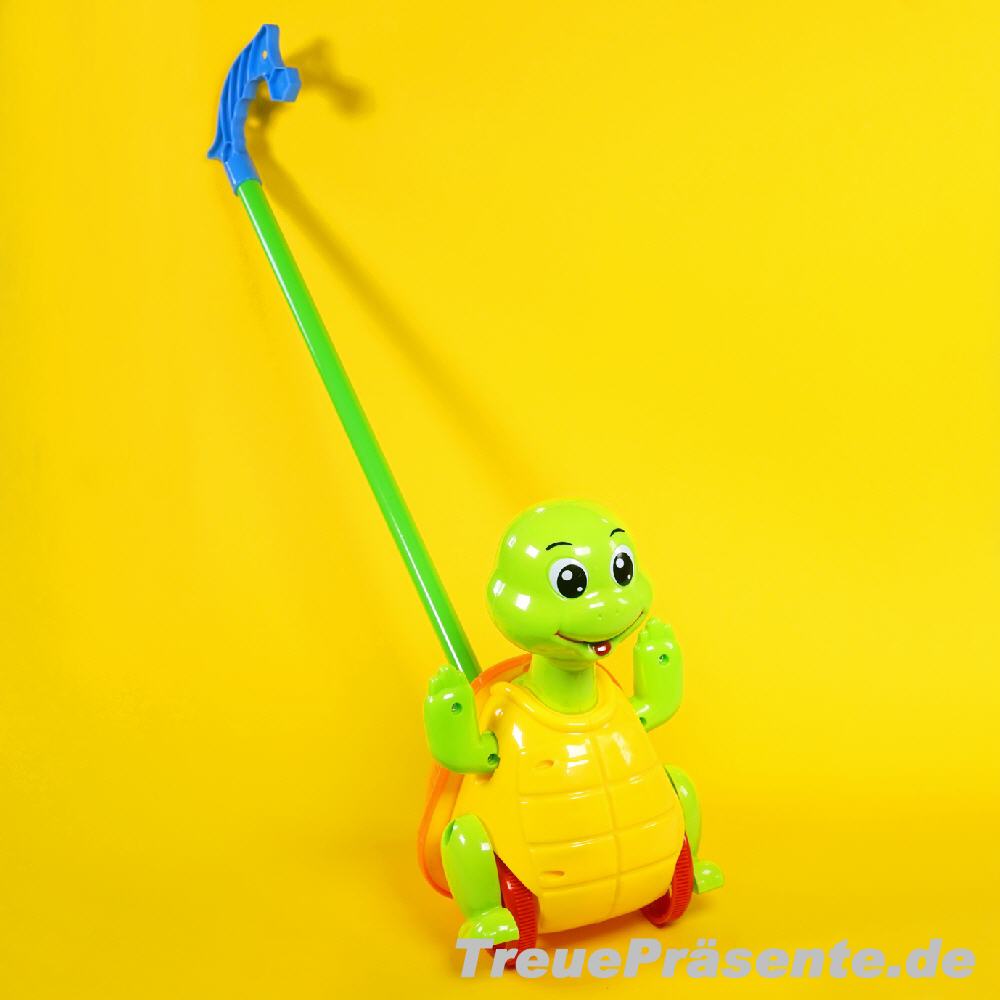 Schiebe-Schildkr&ouml;te 25 cm