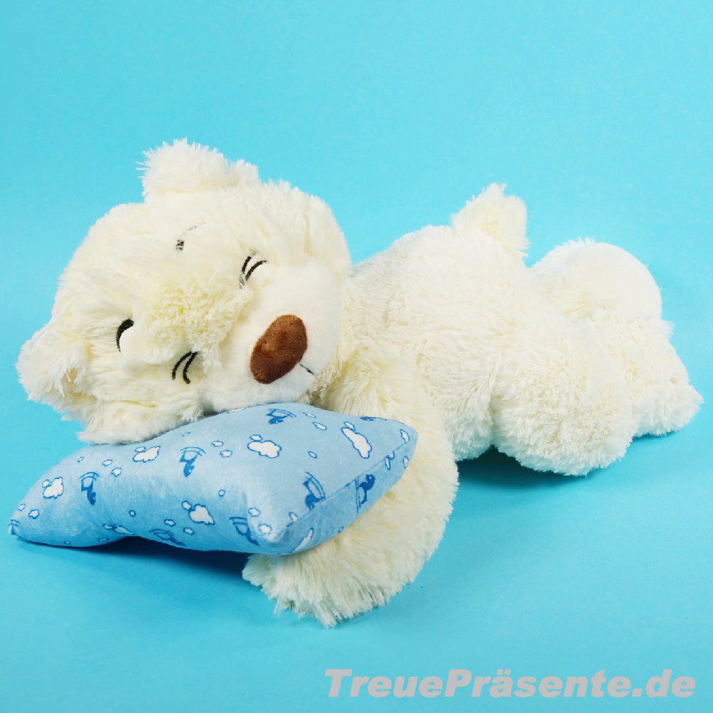 Pl&uuml;sch-B&auml;r schlafend