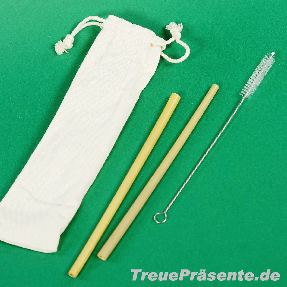 Bambus-Trinkhalme 2er-Set mit B&uuml;rste