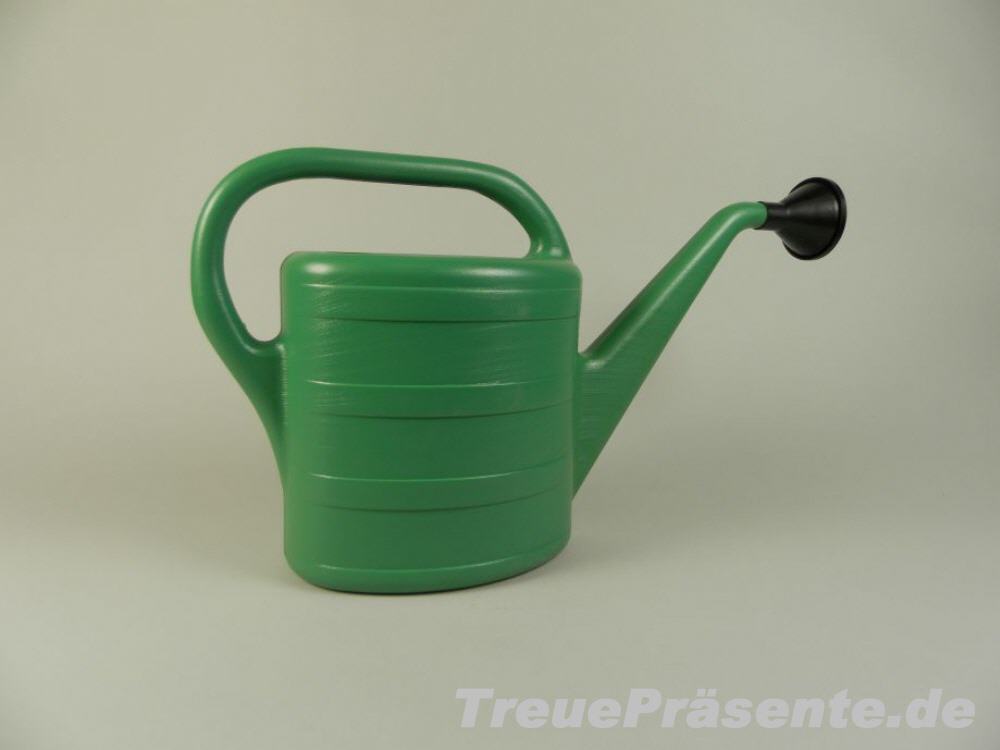 Plastik-Gie&szlig;kanne gr&uuml;n
