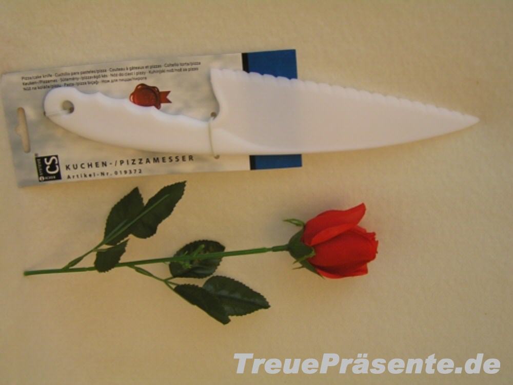 Kunststoff-Pizzamesser