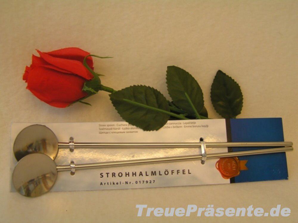 Edelstahl Trinkhalm-L&ouml;ffelset